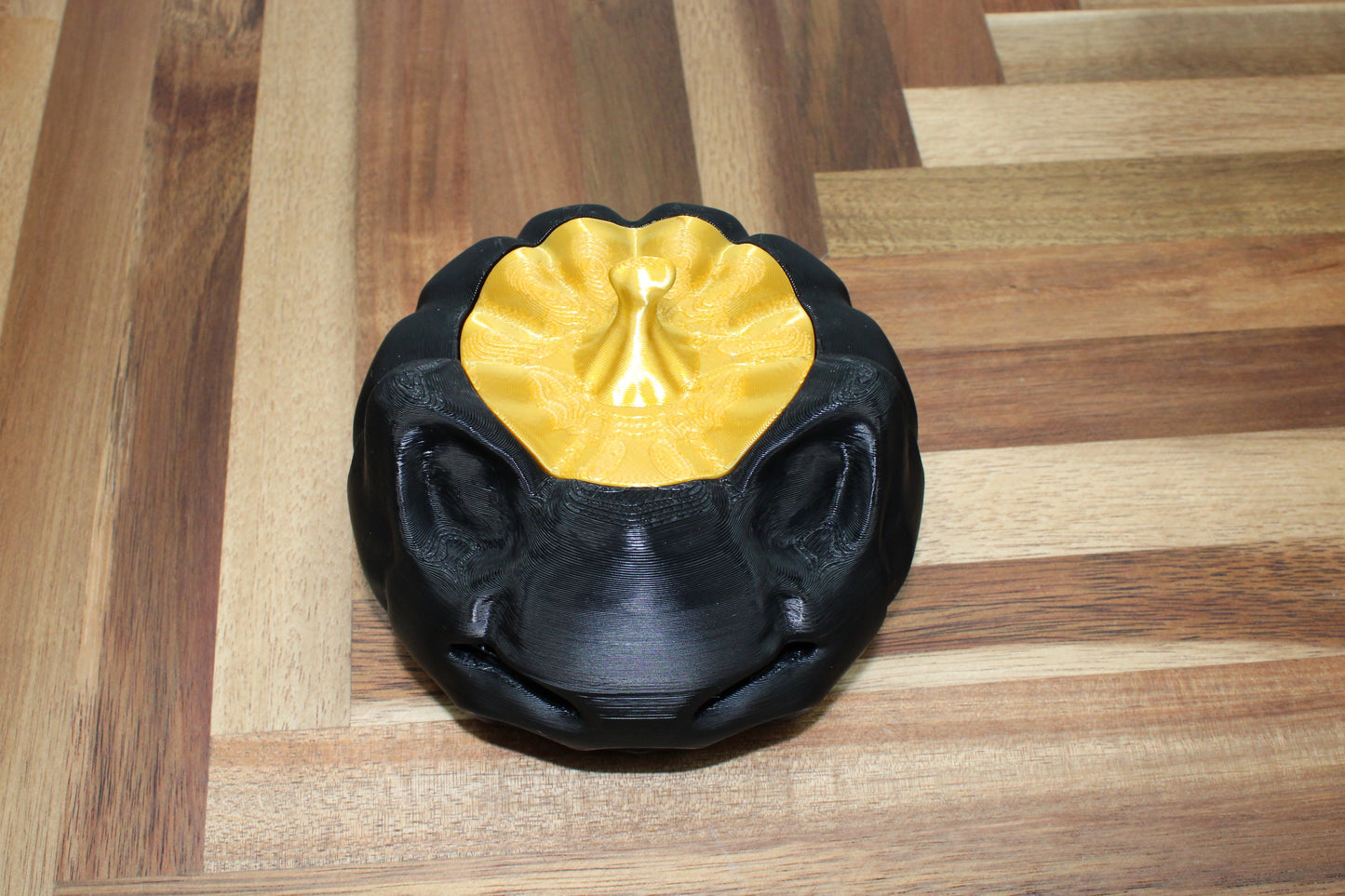 Cat Jack-o’-Lantern